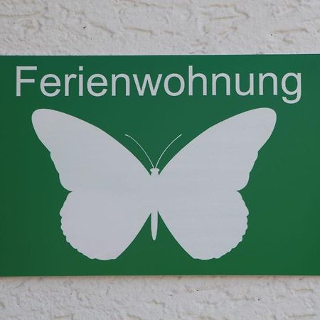 Ferienwohnung Schmetterling Trendelburg Экстерьер фото